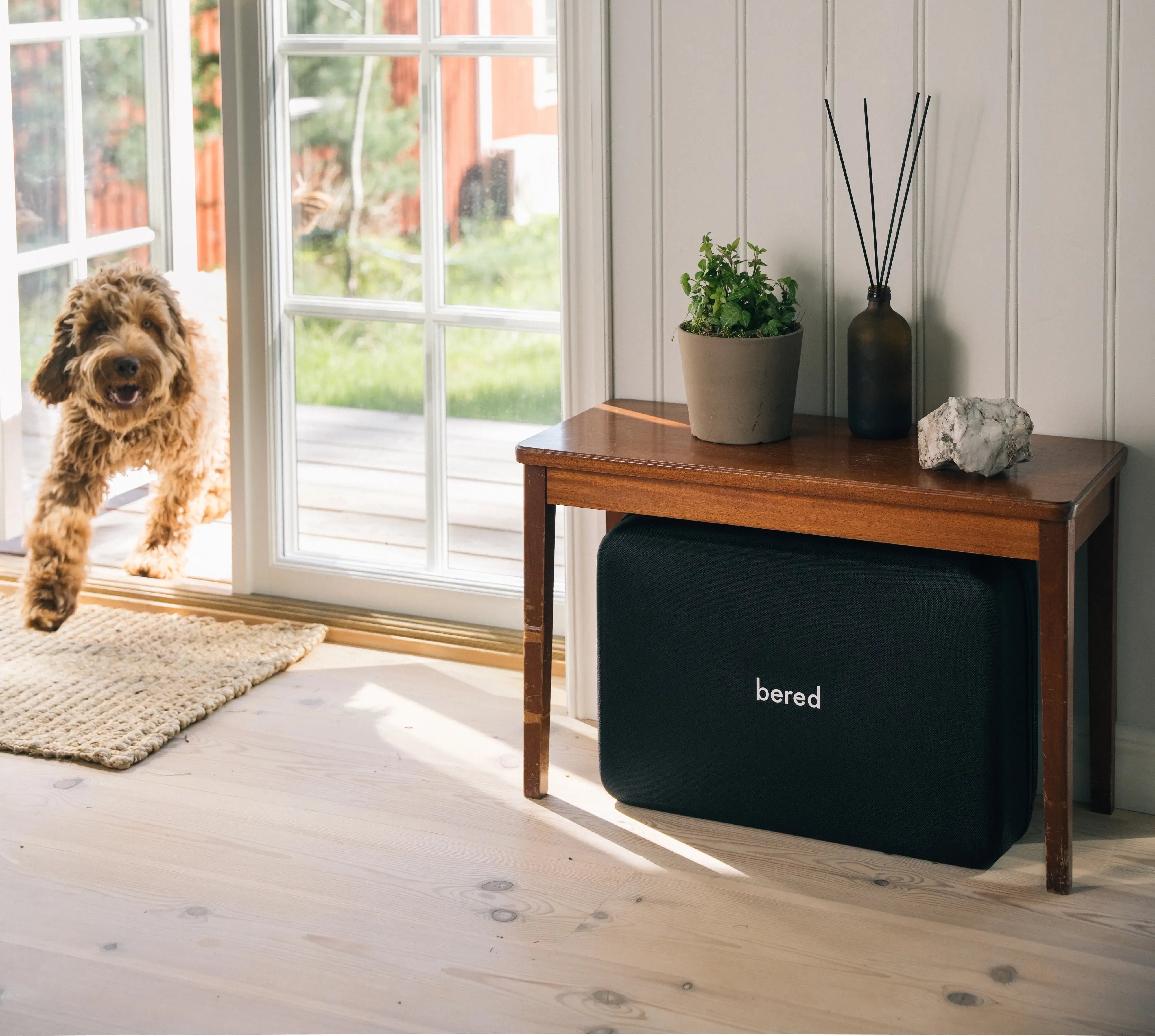 En glad brun hund kigger ind gennem en dør ved siden af et sidebord med en sort nødhjælpskasse under.