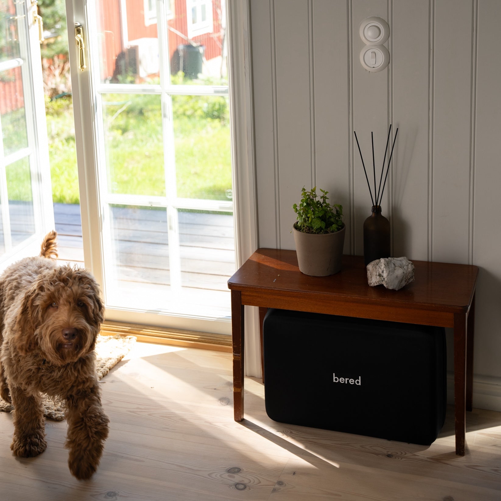 Att skapa en krisberedskapsplan för ditt husdjur: En steg-för-steg-guide