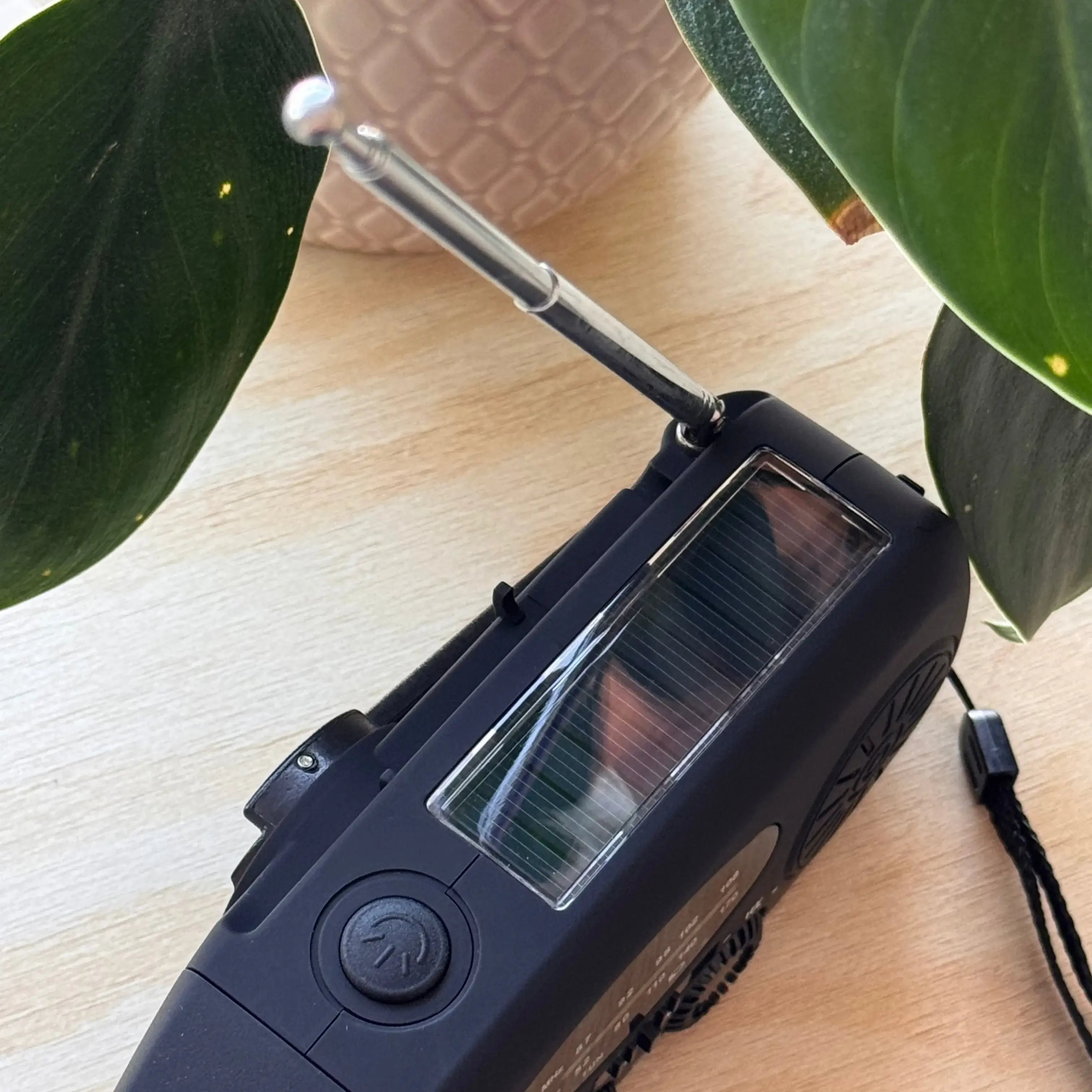 En svart vevradio med utdragen antenn och solpanel, placerad bredvid en grön växt.