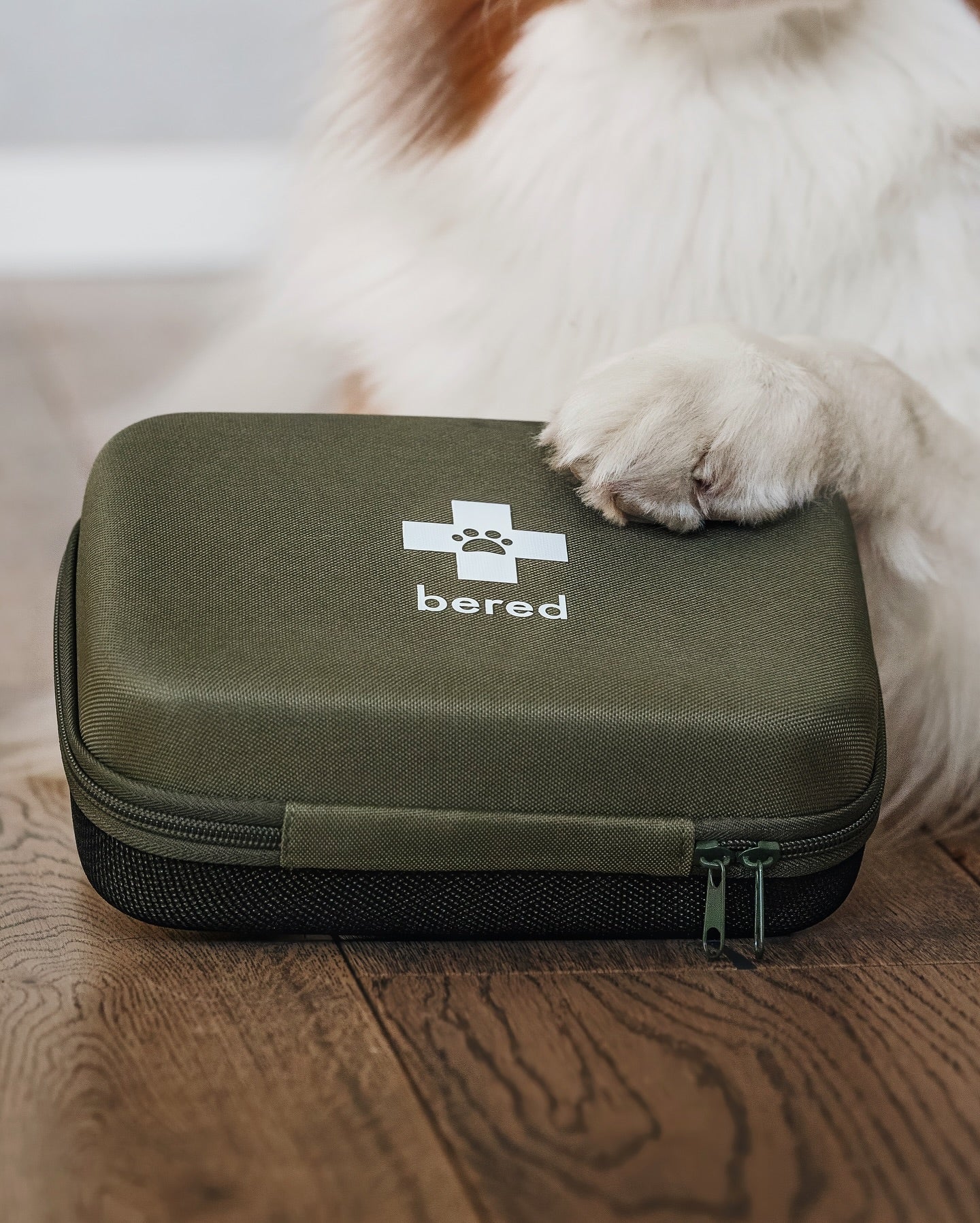 Första Hjälpen Kit för Hund