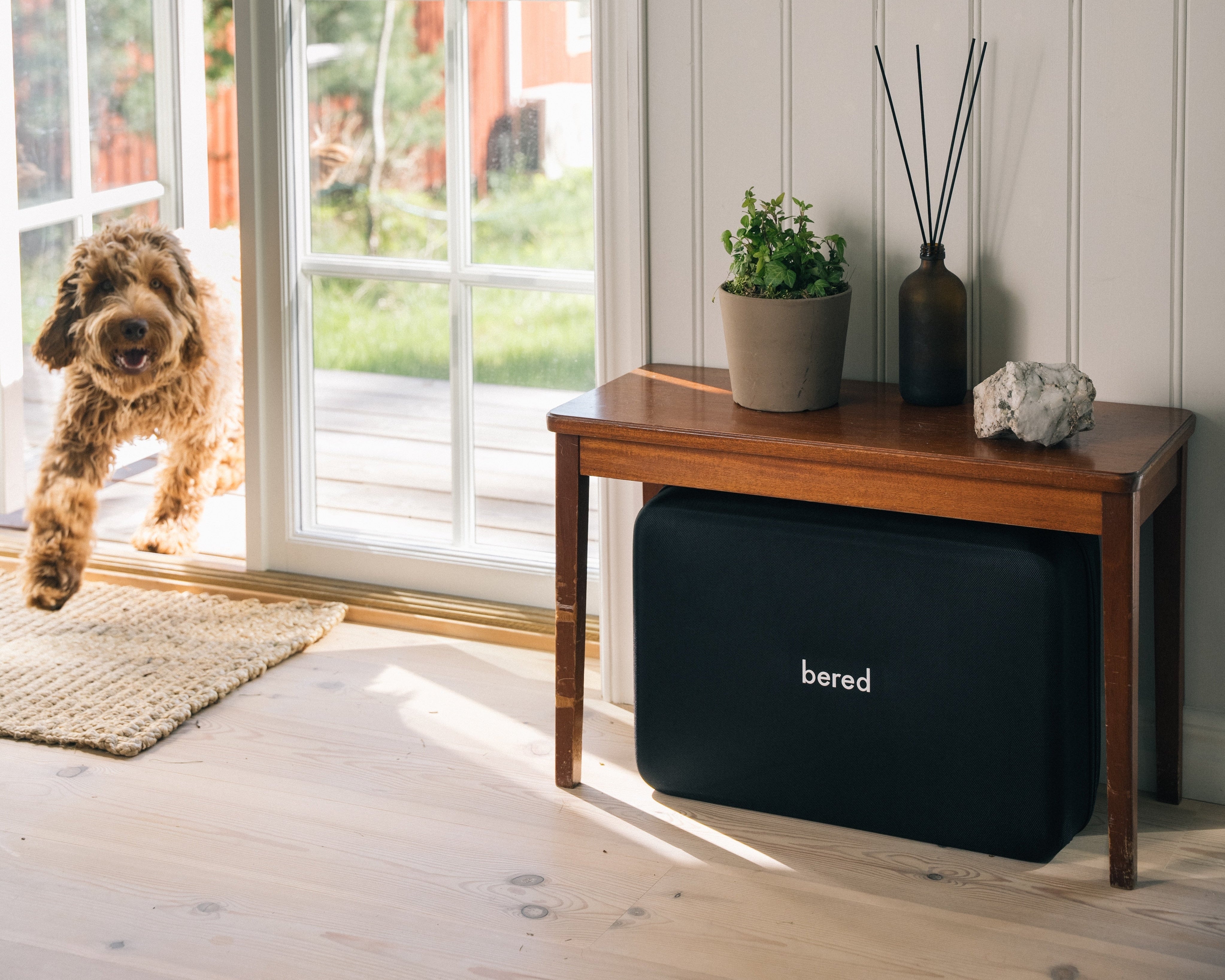 Nødberedskab for hunde