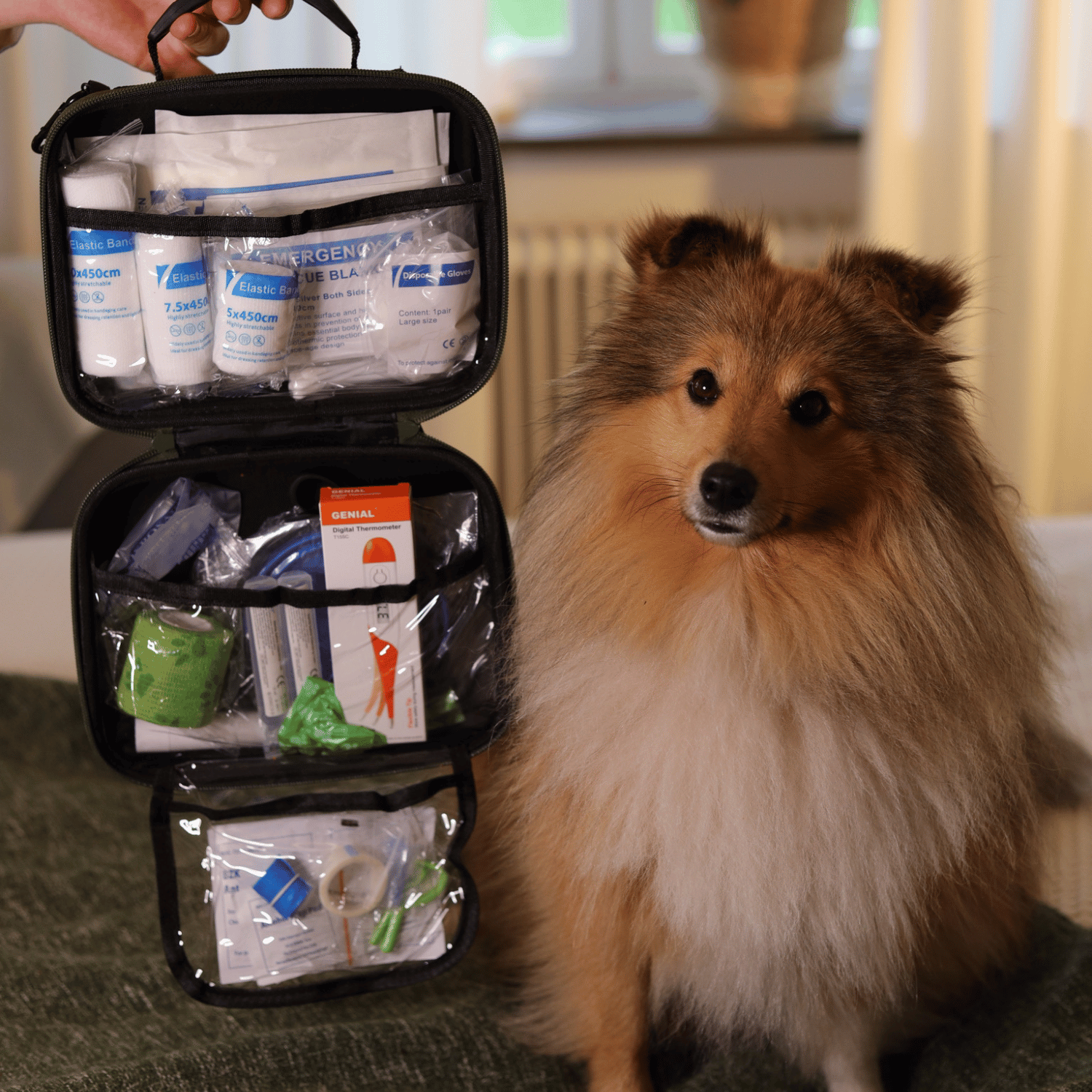 Førstehjælpskasse til hunde