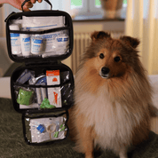 Førstehjælpskasse til hunde