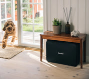 En glad brun hund tittar in genom en dörr intill ett sidobord med en svart beredskapslåda under.