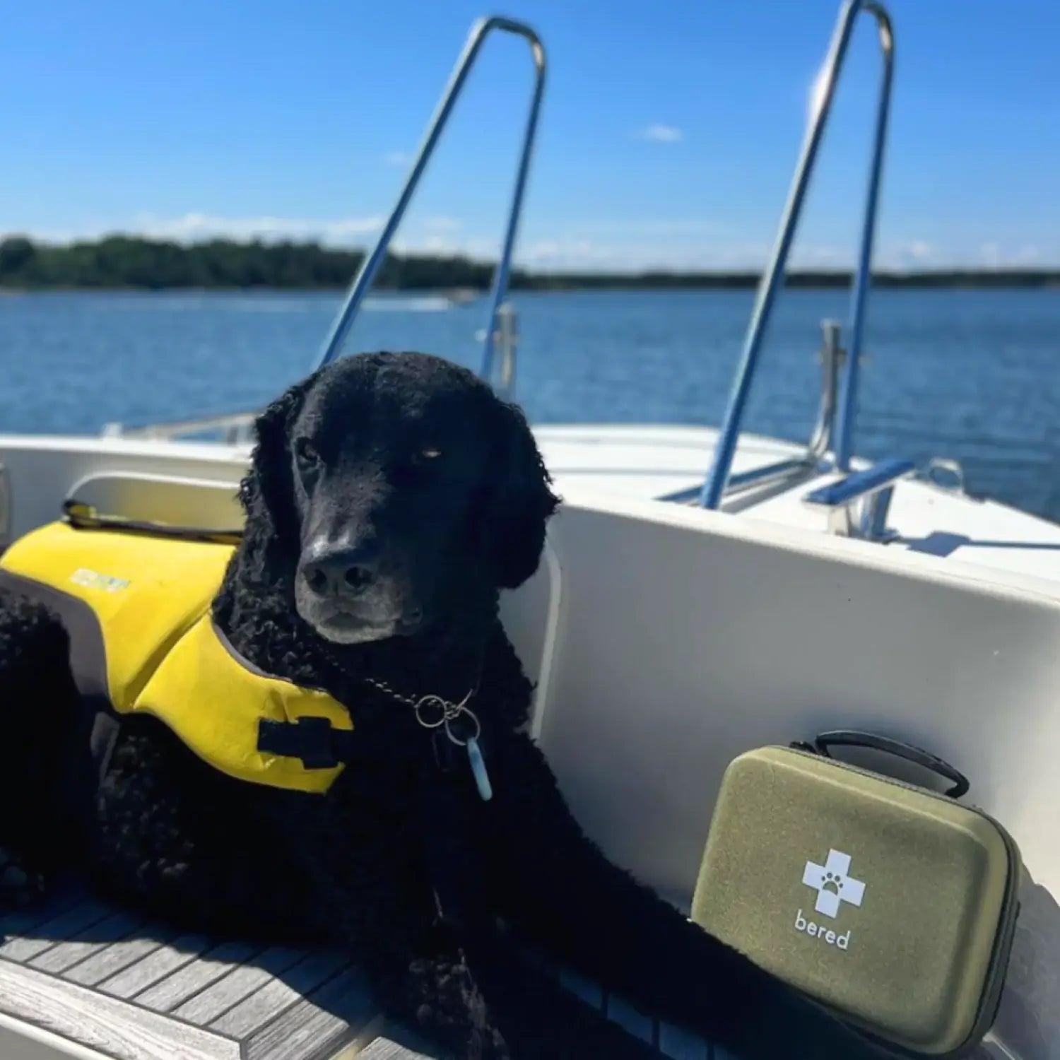 En svart hund med gul flytväst ligger på en vit båt bredvid ett grönt första hjälpen-kit.